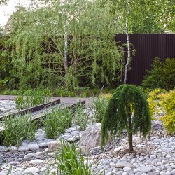 Ландшафтный дизайн сада с сухим ручьем и мостиком